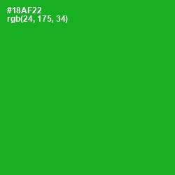 #18AF22 - Forest Green Color Image