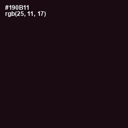 #190B11 - Night Rider Color Image