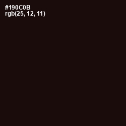 #190C0B - Asphalt Color Image