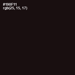 #190F11 - Night Rider Color Image
