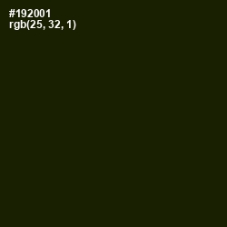 #192001 - Deep Forest Green Color Image