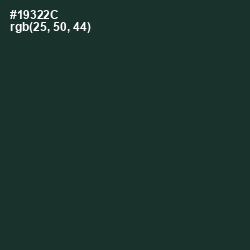 #19322C - Timber Green Color Image