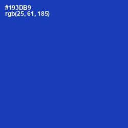 #193DB9 - Persian Blue Color Image