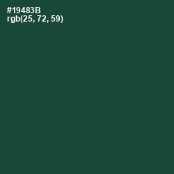 #19483B - Te Papa Green Color Image