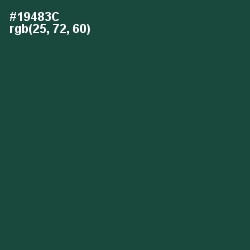 #19483C - Te Papa Green Color Image