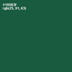 #195B3F - Te Papa Green Color Image