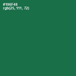 #196F48 - Jewel Color Image