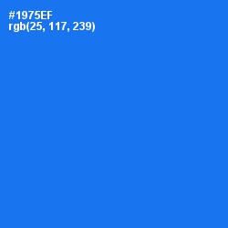#1975EF - Azure Radiance Color Image