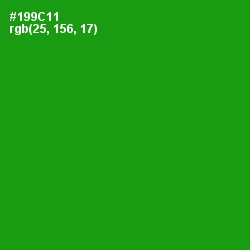 #199C11 - Forest Green Color Image