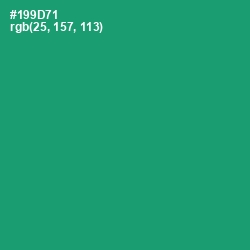 #199D71 - Elf Green Color Image