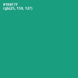 #199F7F - Elf Green Color Image