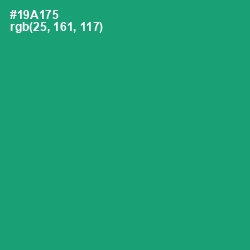 #19A175 - Green Haze Color Image