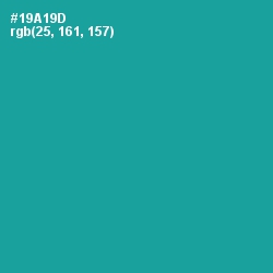 #19A19D - Persian Green Color Image