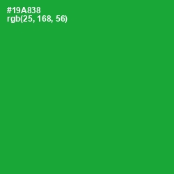 #19A838 - Forest Green Color Image