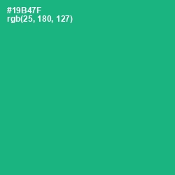 #19B47F - Jade Color Image