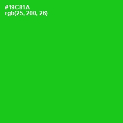 #19C81A - Green Color Image