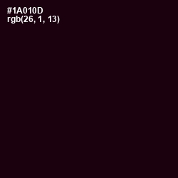 #1A010D - Asphalt Color Image