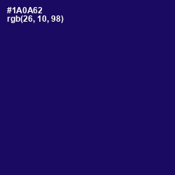 #1A0A62 - Arapawa Color Image