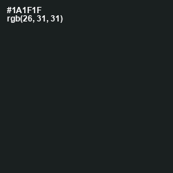 #1A1F1F - Rangoon Green Color Image