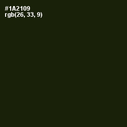 #1A2109 - Deep Forest Green Color Image