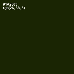 #1A2603 - Deep Forest Green Color Image