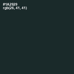 #1A2929 - Timber Green Color Image