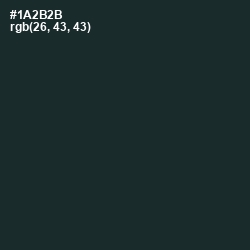 #1A2B2B - Timber Green Color Image