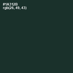 #1A312B - Timber Green Color Image