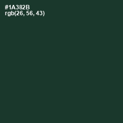 #1A382B - Timber Green Color Image