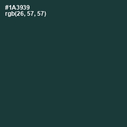 #1A3939 - Gable Green Color Image