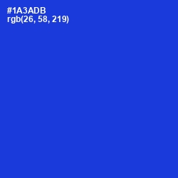 #1A3ADB - Dark Blue Color Image