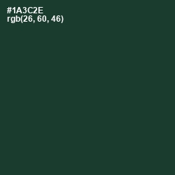 #1A3C2E - Timber Green Color Image