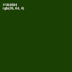 #1A4004 - Dark Fern Color Image