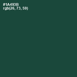 #1A493B - Te Papa Green Color Image