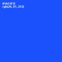 #1A51FD - Blue Ribbon Color Image