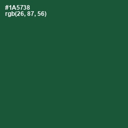 #1A5738 - Te Papa Green Color Image
