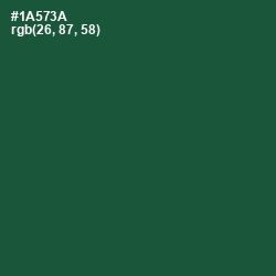 #1A573A - Te Papa Green Color Image
