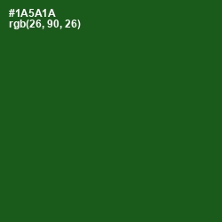 #1A5A1A - Parsley Color Image