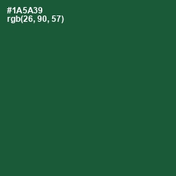 #1A5A39 - Te Papa Green Color Image