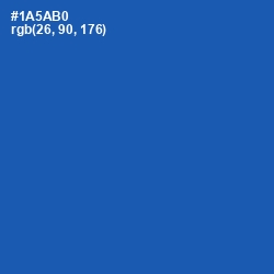 #1A5AB0 - Fun Blue Color Image