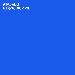#1A5AEB - Blue Ribbon Color Image