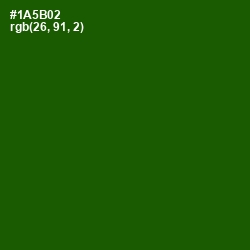 #1A5B02 - Parsley Color Image