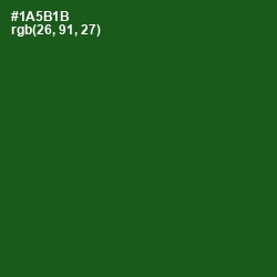 #1A5B1B - Parsley Color Image