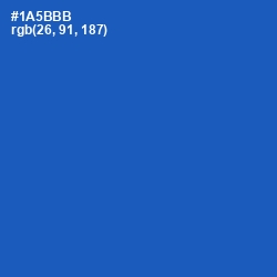 #1A5BBB - Fun Blue Color Image