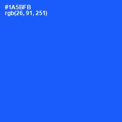 #1A5BFB - Blue Ribbon Color Image