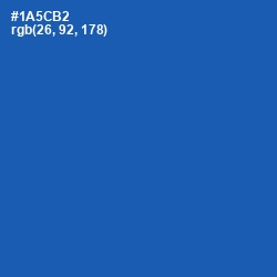 #1A5CB2 - Fun Blue Color Image