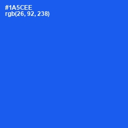 #1A5CEE - Blue Ribbon Color Image