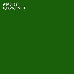 #1A5F09 - Parsley Color Image