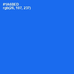 #1A6BED - Blue Ribbon Color Image