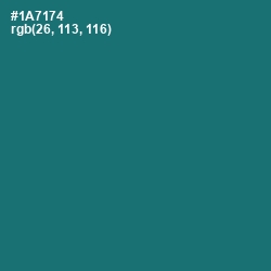 #1A7174 - Elm Color Image